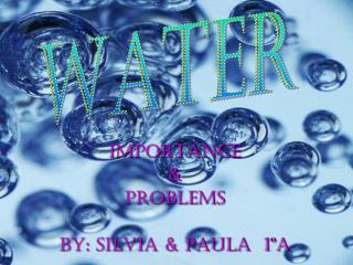 IMPORTANCE &amp; PROBLEMS BY: SILVIA &amp; PAULA 1ºA