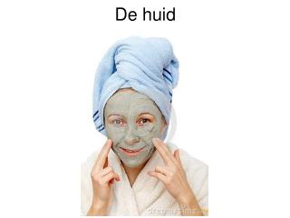 De huid