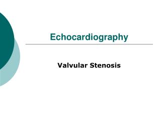 Echocardiography