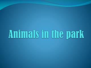 Animals in the park