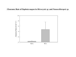Clearance Rate of Daphnia magna in Microcystis sp . and Nannochloropsis sp .