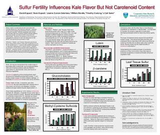 Sulfur Fertility Influences Kale Flavor But Not Carotenoid Content