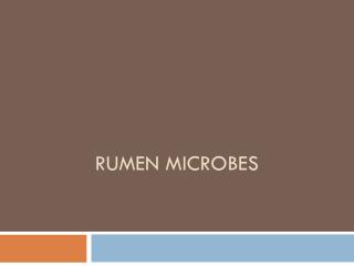 Rumen microbes