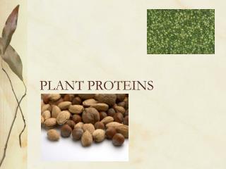 PLANT PROTEINS
