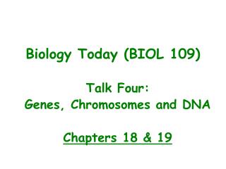 Talk Four: Genes, Chromosomes and DNA Chapters 18 &amp; 19