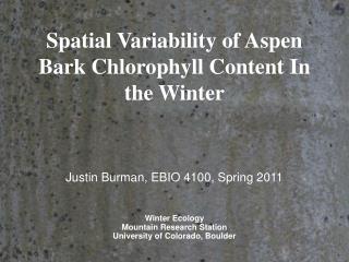 Spatial Variability of Aspen Bark Chlorophyll Content In the Winter