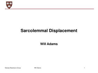 Sarcolemmal Displacement