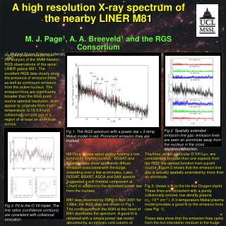 A high resolution X-ray spectrum of the nearby LINER M81