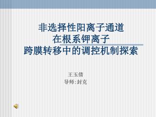 非选择性阳离子通道 在根系钾离子 跨膜转移中的调控机制探索