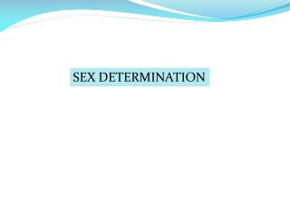 SEX DETERMINATION