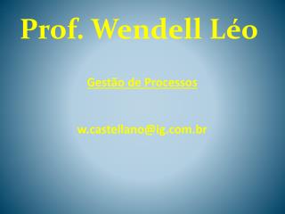 Gestão de Processos wstellano@ig.br