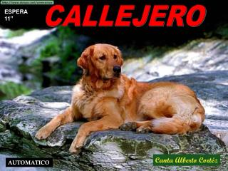 CALLEJERO