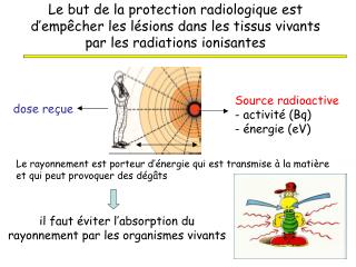 il faut éviter l’absorption du rayonnement par les organismes vivants