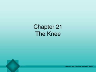 Chapter 21 The Knee