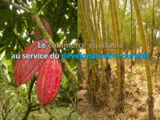 Le commerce équitable au service du développement durable