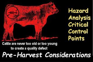 Pre-Harvest Considerations