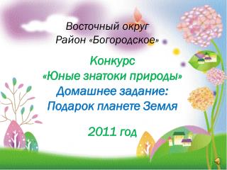 Восточный округ Район « Богородское »
