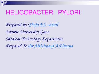 HELICOBACTER PYLORI