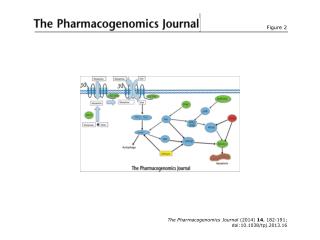 The Pharmacogenomics Journal (2014) 14 , 182-191; doi:10.1038/tpj.2013.16