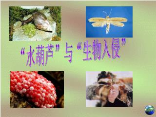 “水葫芦”与“生物入侵”