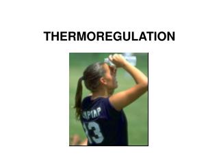 THERMOREGULATION