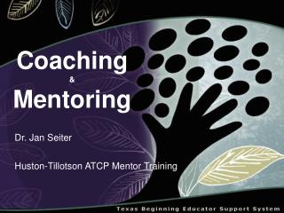 Coaching &amp; Mentoring