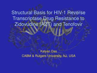 Structural Basis for HIV-1 Reverse Transcriptase Drug Resistance to Zidovudine (AZT) and Tenofovir