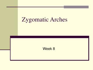 Zygomatic Arches