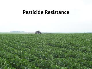 Pesticide Resistance