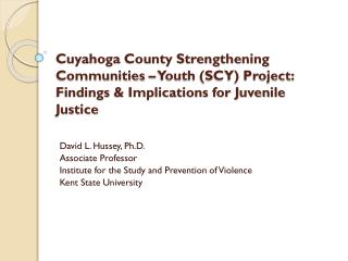 David L. Hussey, Ph.D. Associate Professor Institute for the Study and Prevention of Violence