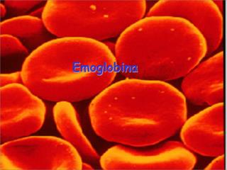 Hemoglobina dhe roli I saj ne organizem