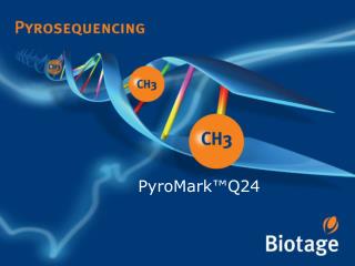 PyroMark™Q24