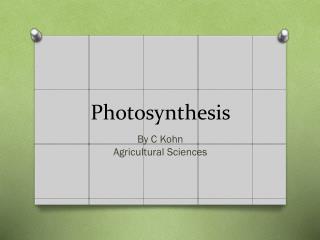 Photosynthesis