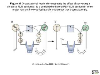 GI Motility online (May 2006) | doi:10.1038/gimo7