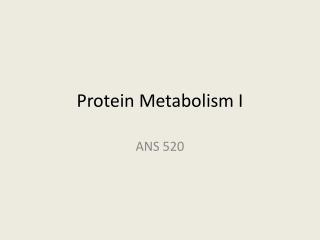 Protein Metabolism I