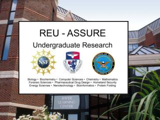 Undergraduate Research