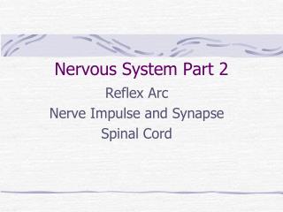 Nervous System Part 2