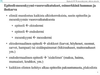 Epiteeli-mesenkyymi-vuorovaikutukset, esimerkkinä hammas ja ihokarva