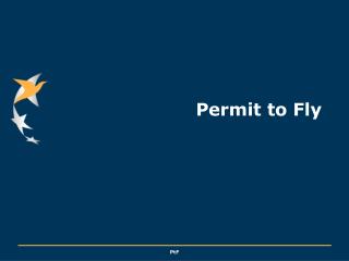 Permit to Fly