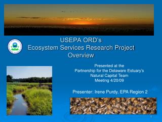 USEPA ORD’s Ecosystem Services Research Project Overview