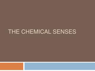 The Chemical Senses