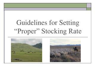 Guidelines for Setting “Proper” Stocking Rate