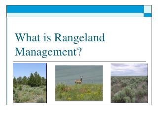 What is Rangeland Management?