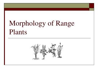 Morphology of Range Plants