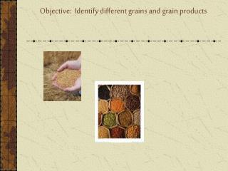 Objective: Identify different grains and grain products