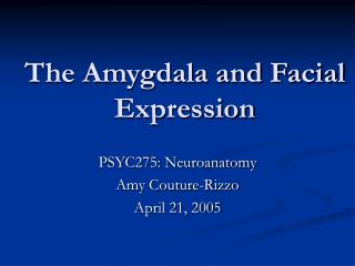 The Amygdala and Facial Expression