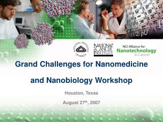 Grand Challenges for Nanomedicine and Nanobiology Workshop Houston, Texas August 27 th , 2007