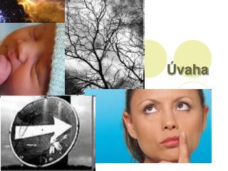 Úvaha