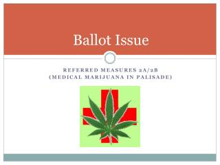 Ballot Issue