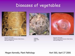 Diseases of vegetables